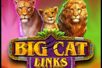 Big Cat Links